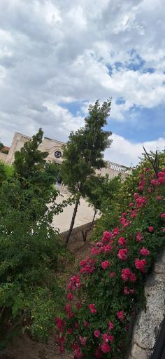 عکس سالمندان بهشت گلبهار