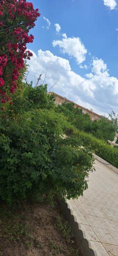 عکس سالمندان بهشت گلبهار