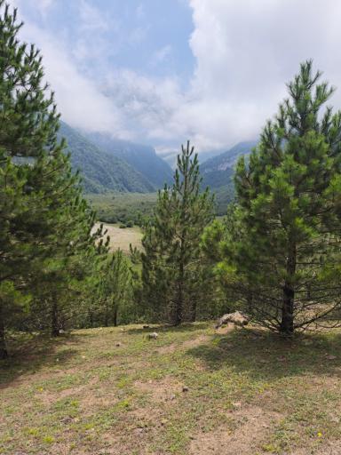 عکس دریاسر