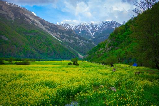 عکس دریاسر