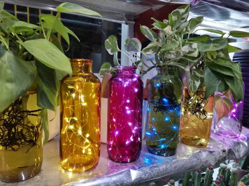 عکس گلخانه اسدی