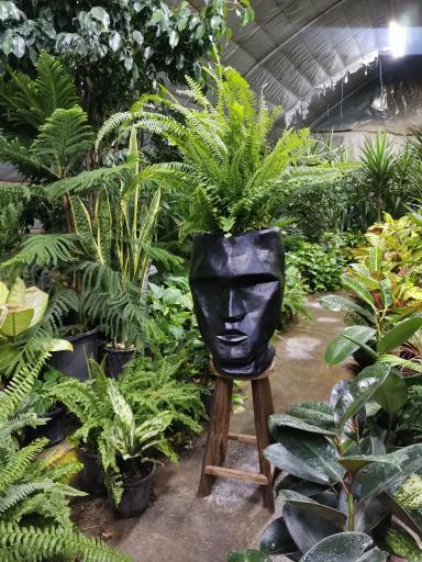 عکس گلخانه اسدی