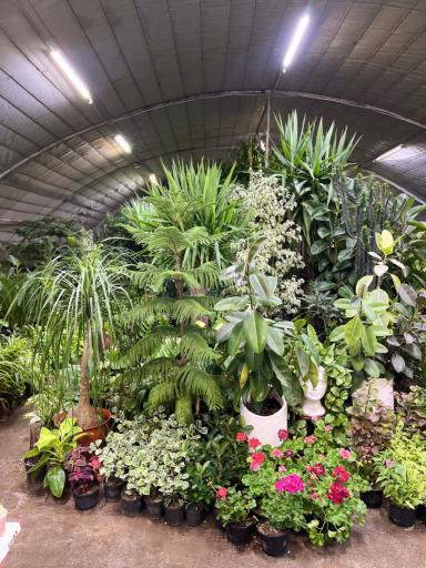 عکس گلخانه اسدی