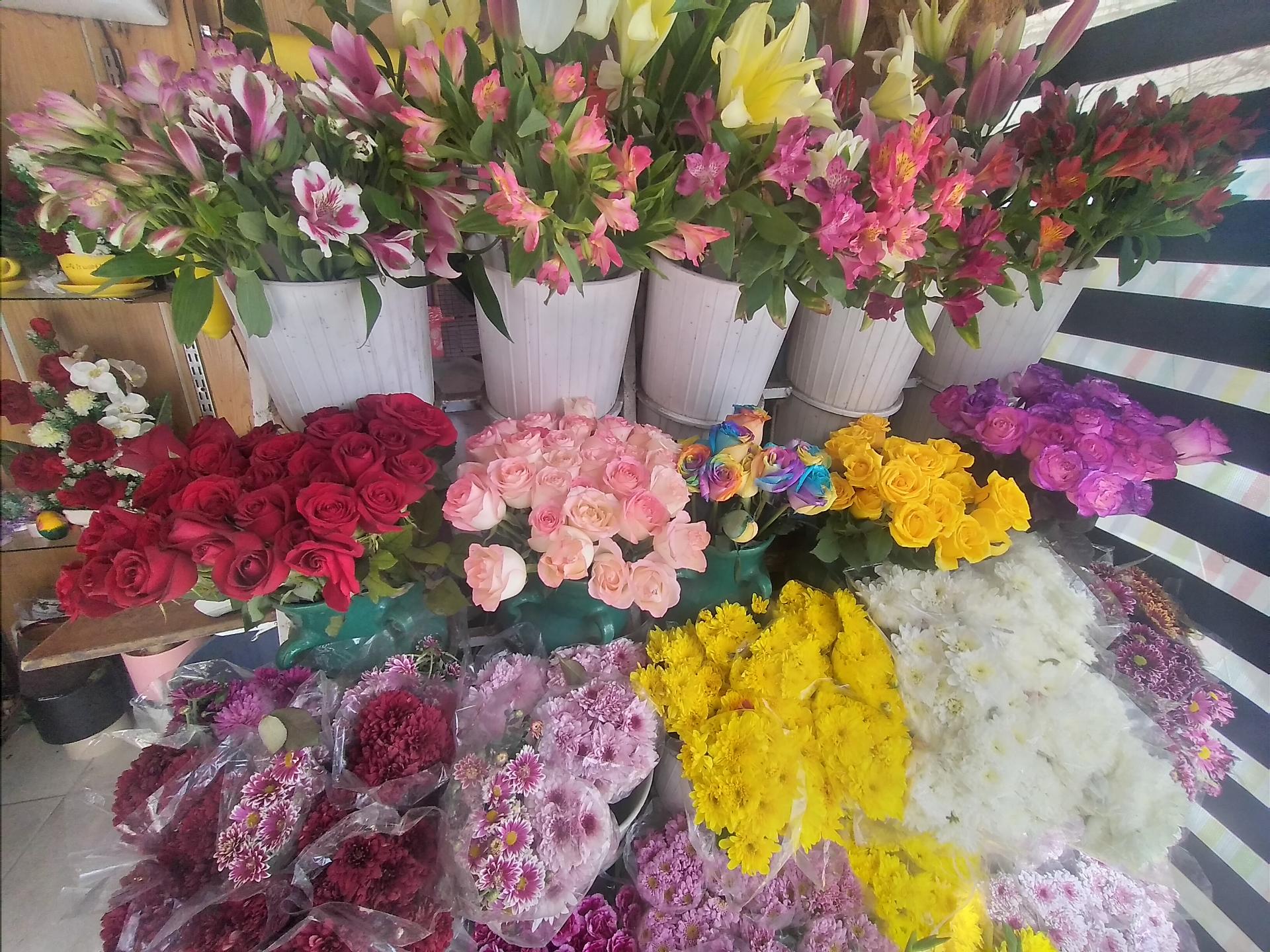 عکس گل فروشی زمرد