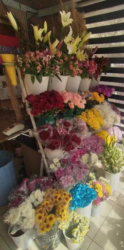 عکس گل فروشی زمرد