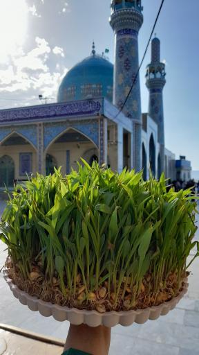 عکس امامزاده محمد (شاهزاده محمد)