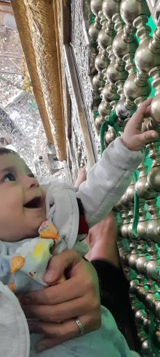 عکس امامزاده محمد (شاهزاده محمد)