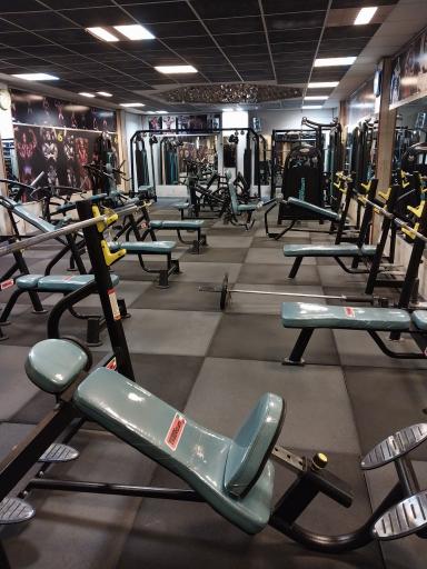 عکس باشگاه بدنسازی هژبر