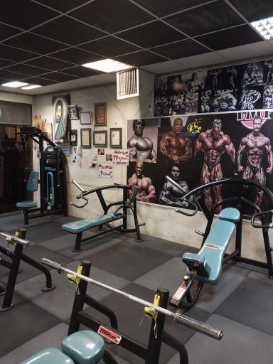عکس باشگاه بدنسازی هژبر