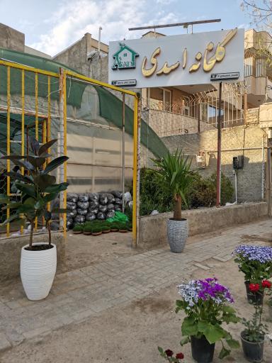 عکس گلخانه اسدی