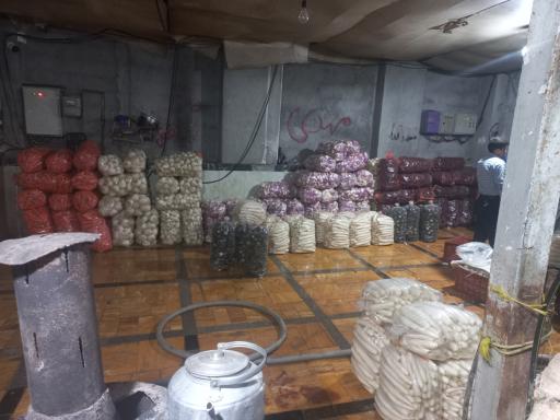 عکس کارگاه هویج شویی و بسته بندی محصولات کشاورزی احسان فرجی 