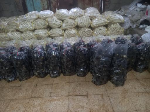 عکس کارگاه هویج شویی و بسته بندی محصولات کشاورزی احسان فرجی 