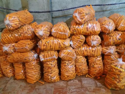 عکس کارگاه هویج شویی و بسته بندی محصولات کشاورزی احسان فرجی 