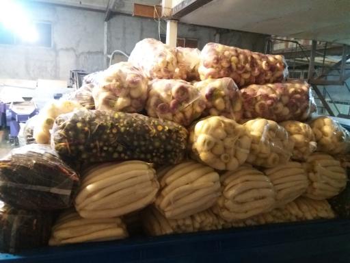 عکس کارگاه هویج شویی و بسته بندی محصولات کشاورزی احسان فرجی 