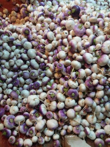 عکس کارگاه هویج شویی و بسته بندی محصولات کشاورزی احسان فرجی 