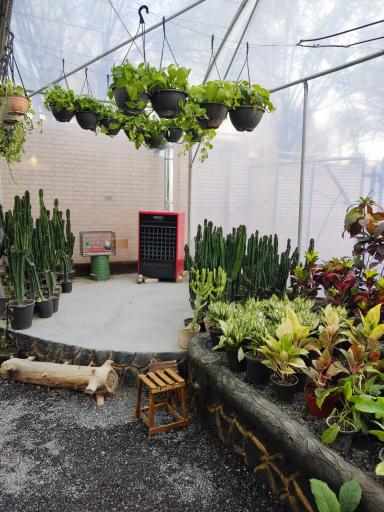 عکس گلخانه گیسوم