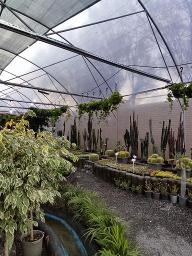 عکس گلخانه گیسوم