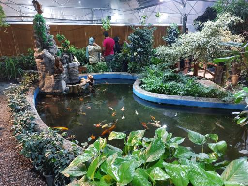 عکس گلخانه گیسوم