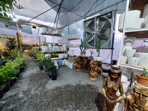 عکس گلخانه گیسوم