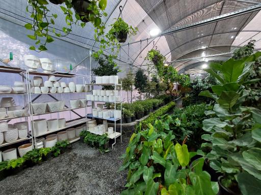 عکس گلخانه گیسوم