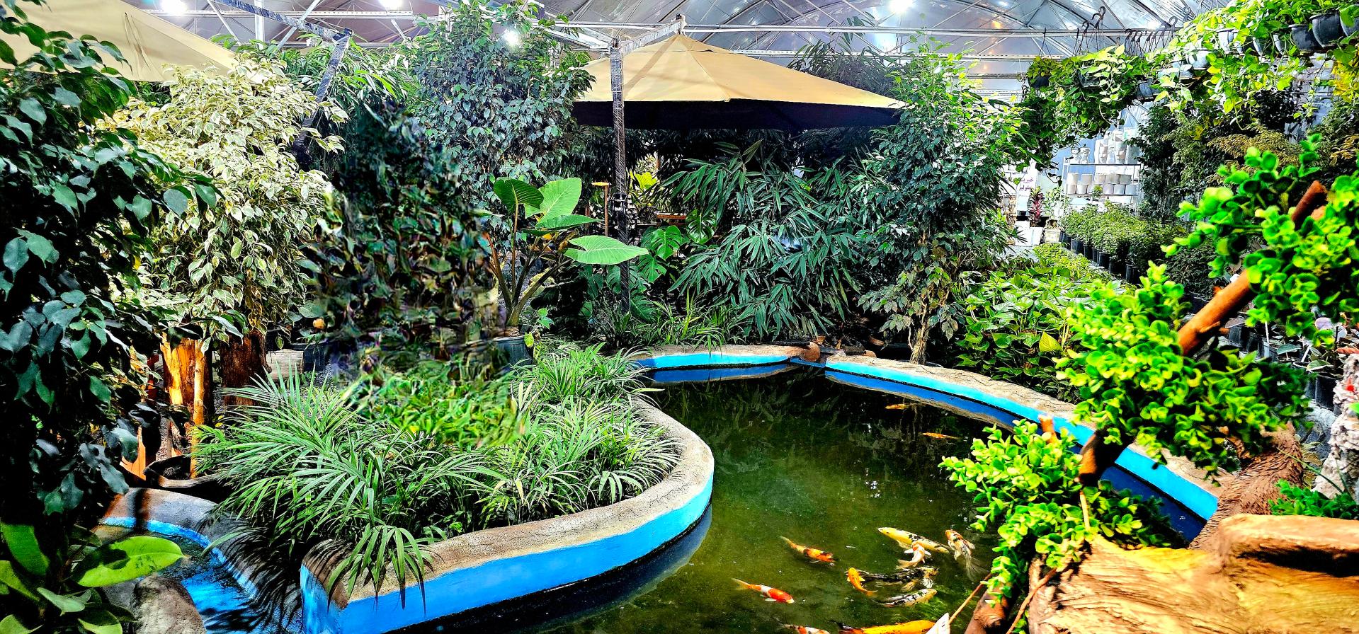 عکس گلخانه گیسوم