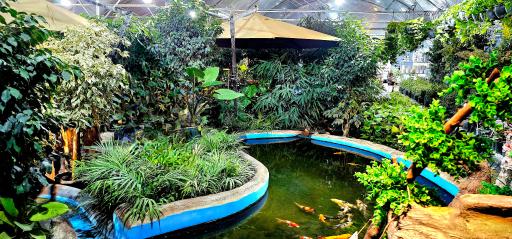 عکس گلخانه گیسوم