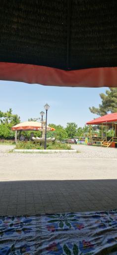 عکس باغ ارغوان (سازمان نظام مهندسی خراسان رضوی)