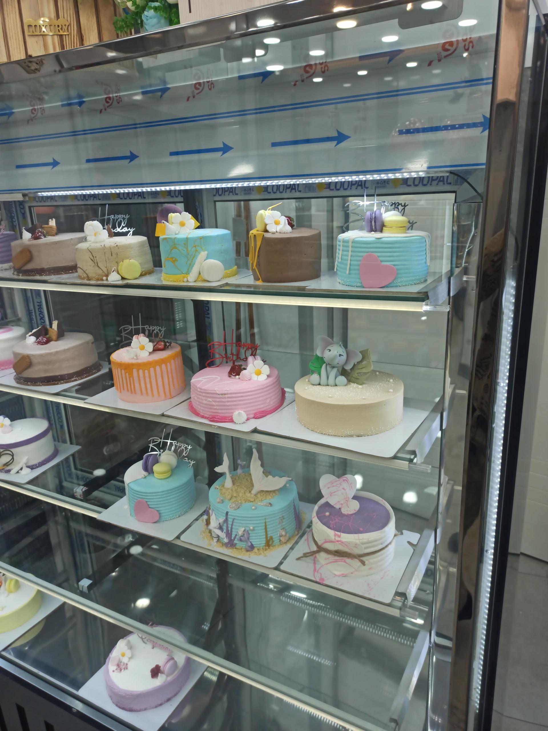 عکس شیرینی مولوی