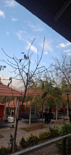 عکس باغ ارغوان (سازمان نظام مهندسی خراسان رضوی)