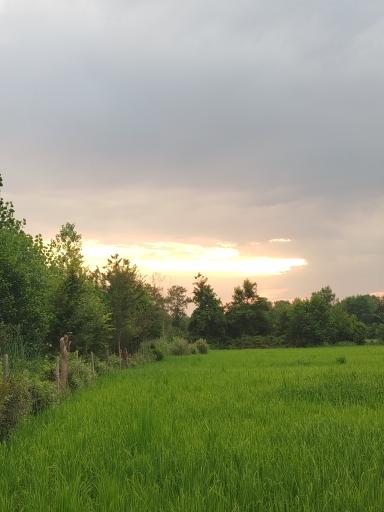 عکس سیاهکل