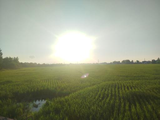 عکس سیاهکل