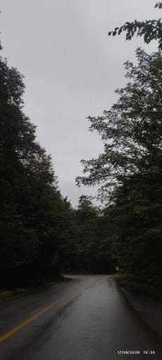 عکس سیاهکل