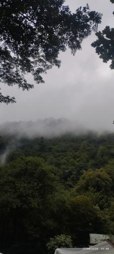 عکس سیاهکل