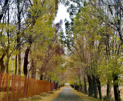 عکس سراب پنجعلی حصار