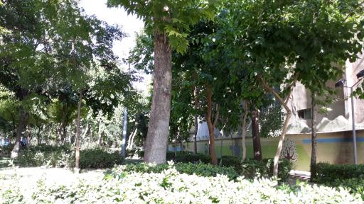 عکس بوستان زیبا