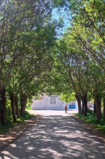 عکس سراب پنجعلی حصار