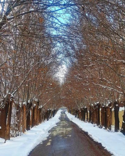 عکس سراب پنجعلی حصار