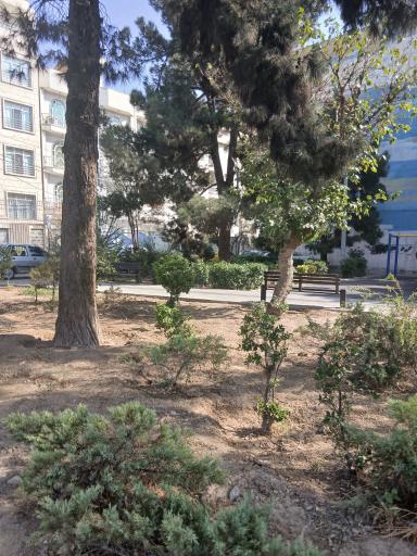عکس بوستان زیبا