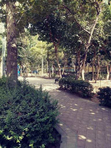 عکس بوستان زیبا