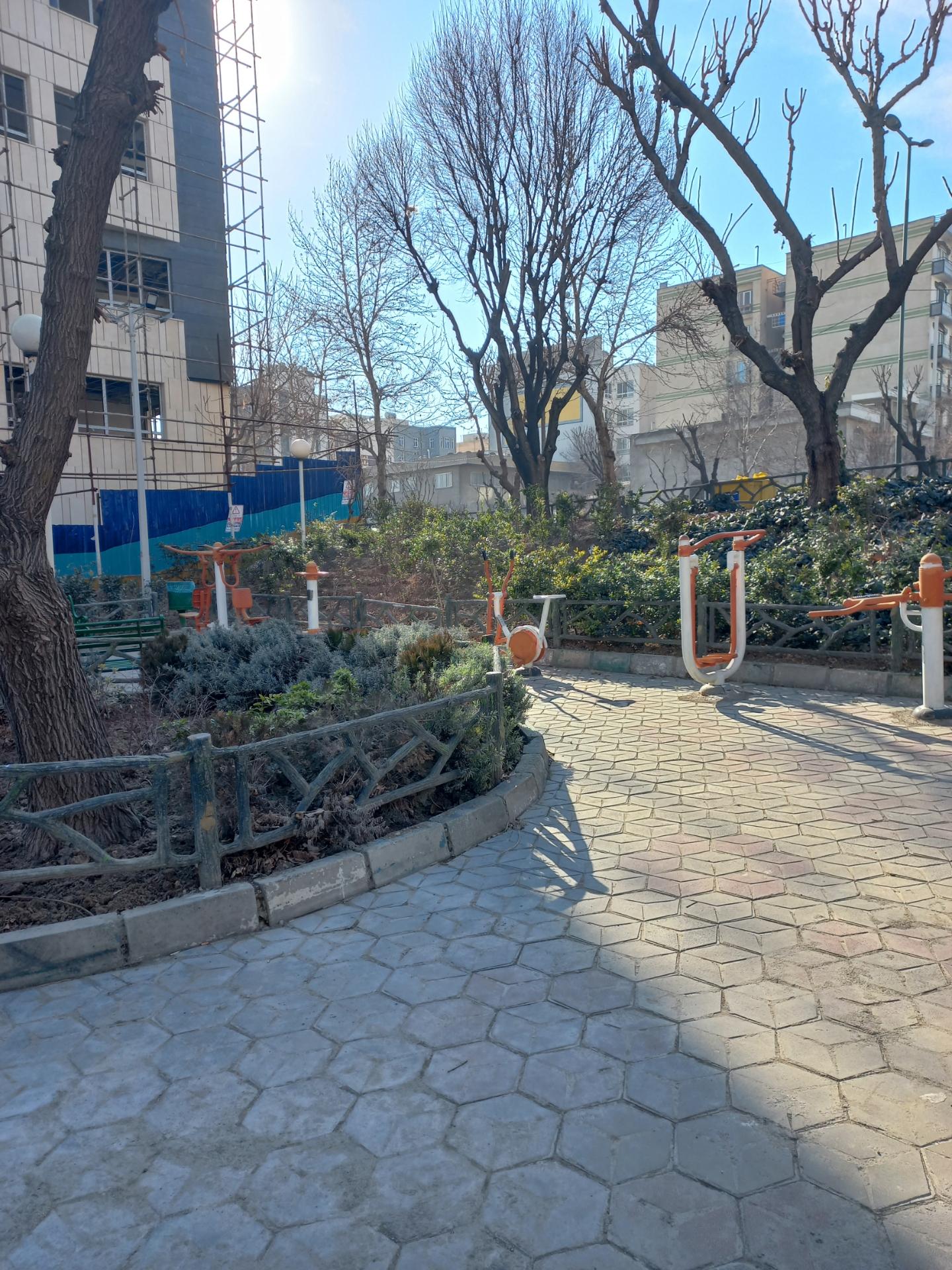 عکس پارک ناجی