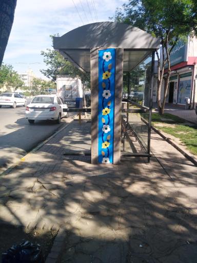 عکس ابتدای فدک