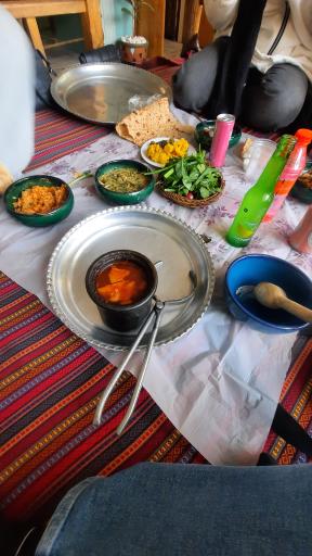 عکس تله دیزی نارنجستان