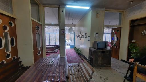 عکس تله دیزی نارنجستان