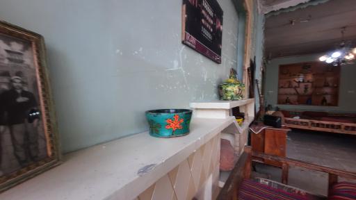 تله دیزی نارنجستان