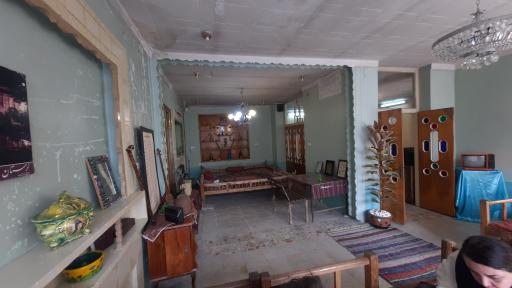 عکس تله دیزی نارنجستان