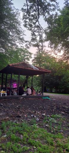 عکس پارک جنگلی کشپل