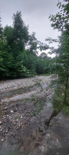 عکس پارک جنگلی کشپل