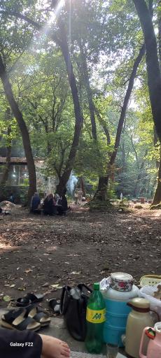 عکس پارک جنگلی کشپل