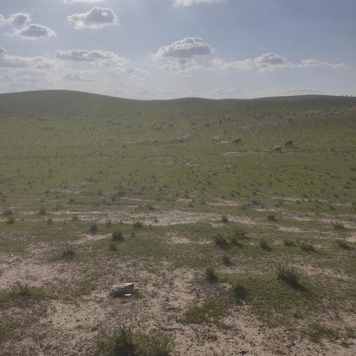 چپر قویمه
