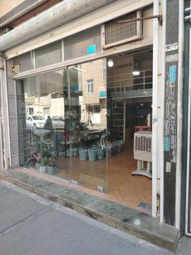 عکس دیجی حراجی
